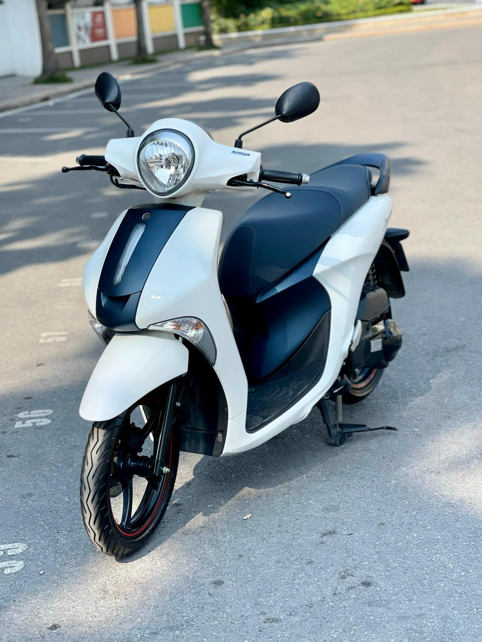 Small Scooter