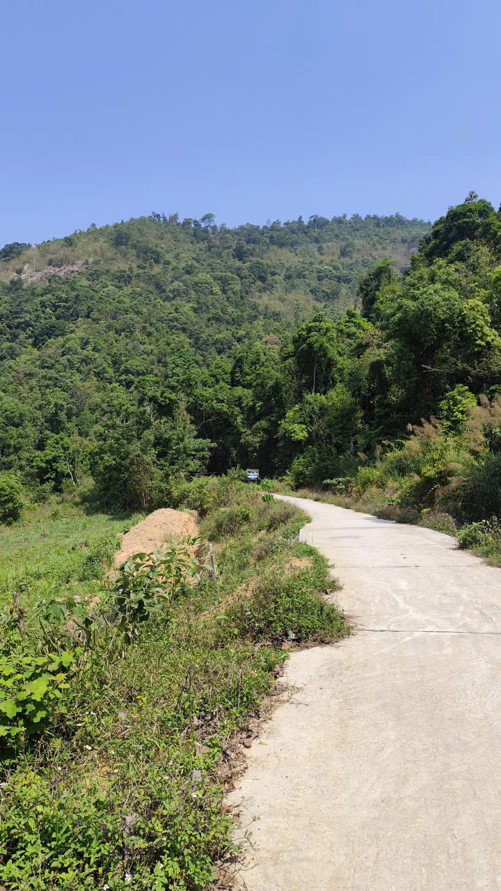 Guided Vietnam motorbike tour photo 10