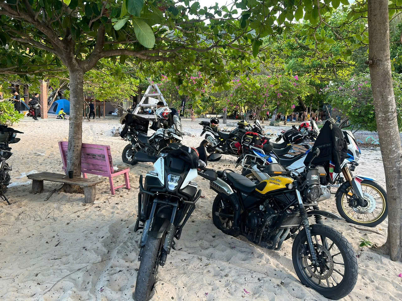 Guided Vietnam motorbike tour photo 19