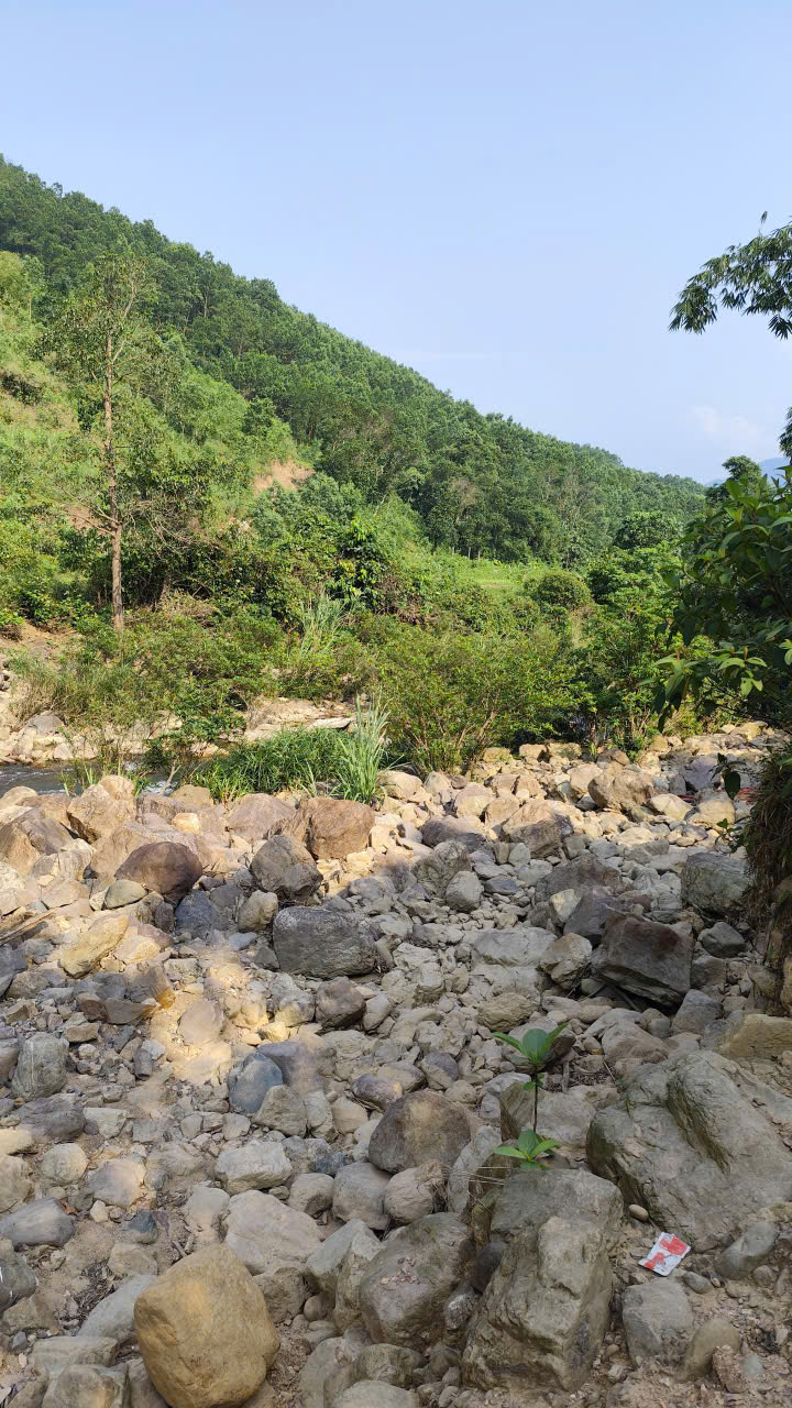 Guided Vietnam motorbike tour photo 8