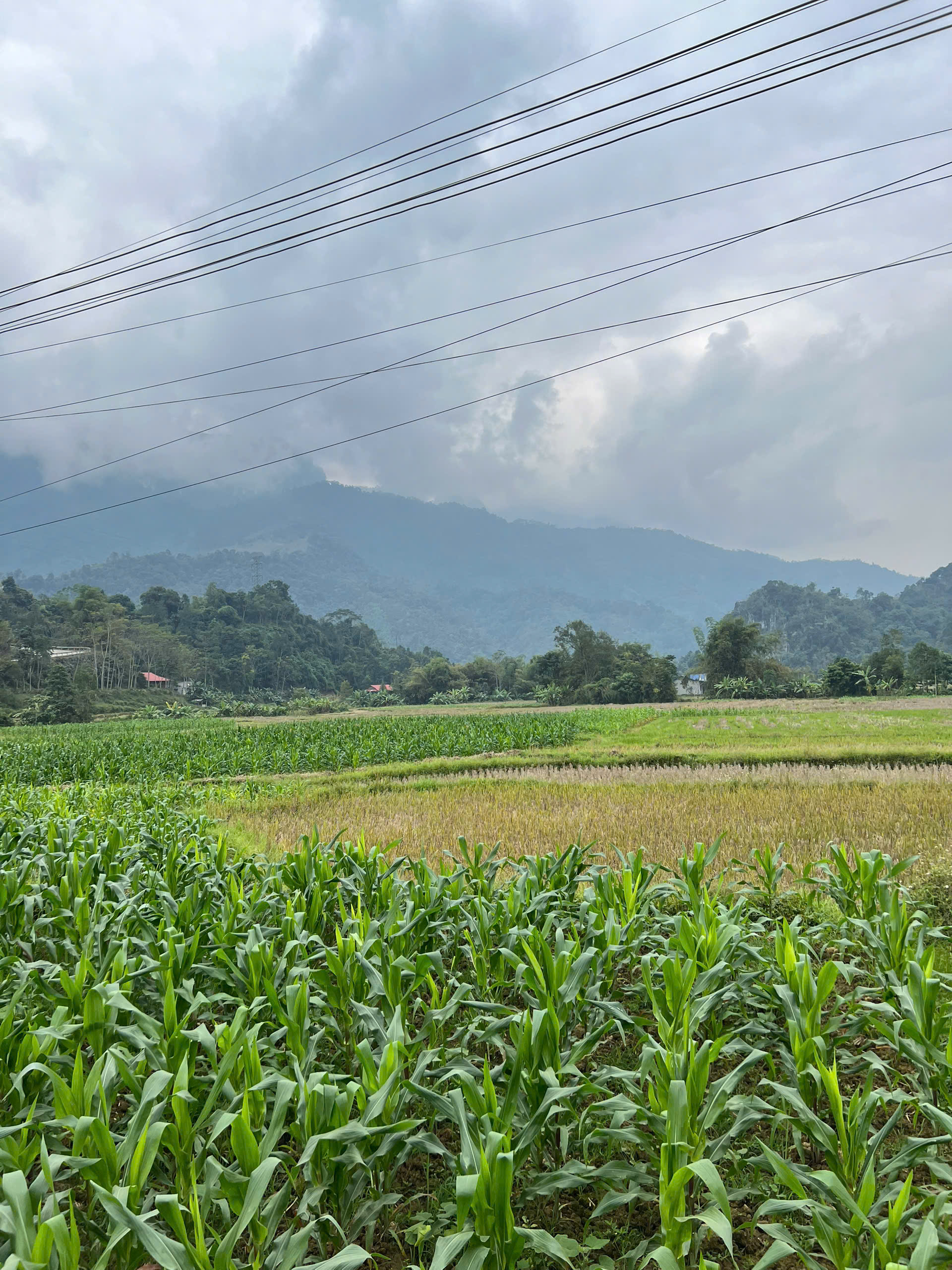 HCMC to Hanoi — Full Vietnam Ride — photo 17