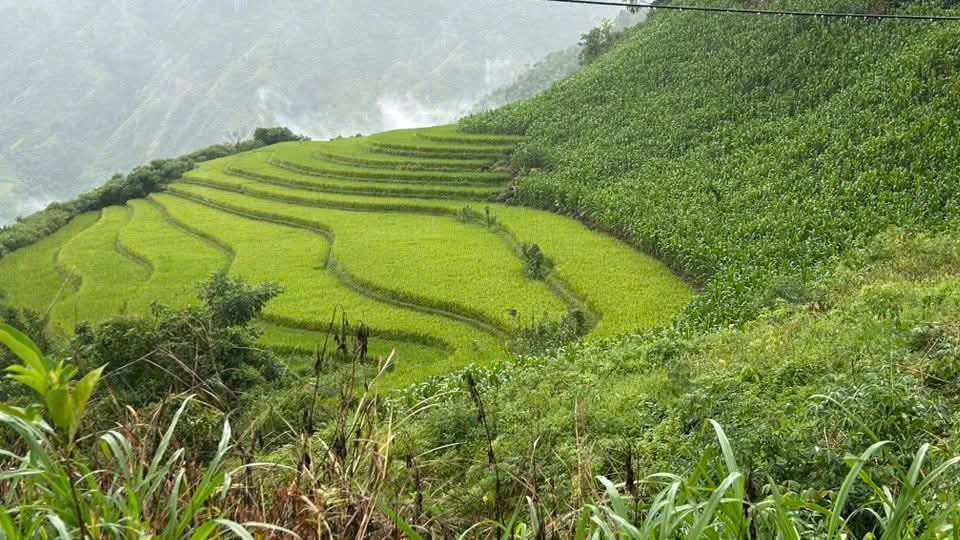 North Tour — Northern Vietnam Adventure — photo 5